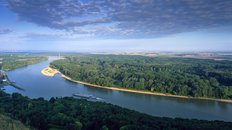 3591_Donau-Auen2_Kovacs