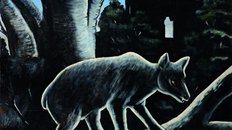3_Bär_in_mondheller_Nacht.jpg